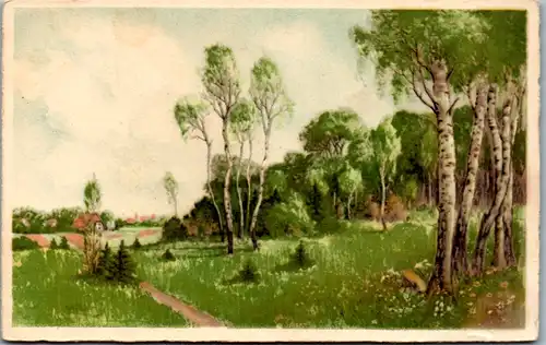 9554 - Künstlerkarte - Landschaft , Birkenbäume - nicht gelaufen