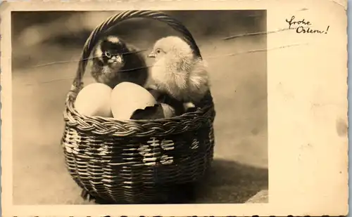 9646 -  - Frohe Ostern - gelaufen