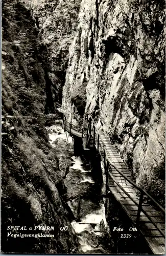 9704 - Oberösterreich - Spital am Phyrn , Vogelgesangklamm - gelaufen