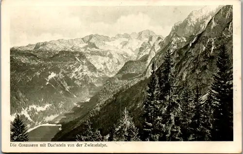 9780 - Oberösterreich - Die Gosauseen mit Dachstein von der Zwieselalpe - nicht gelaufen