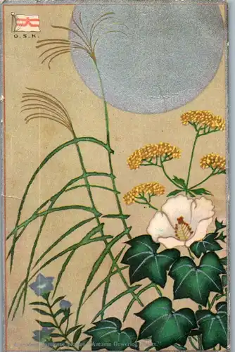 9795 - Japan - A modern Japanese picture , Autumn flowering Plants , Blumen - nicht gelaufen