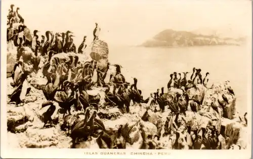 9806 - Peru - Islas Guaneras , Chincha , Vögel - nicht gelaufen