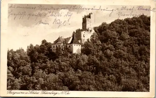 9896 - Niederösterreich - Burgruine und Schloss Thernberg - gelaufen 1924