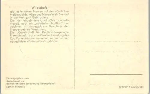 10048 - Deutsche Demokratische Republik - Ersttag , Tierpark Berlin Friedrichsfelde , Wildschafe - nicht gelaufen 1956