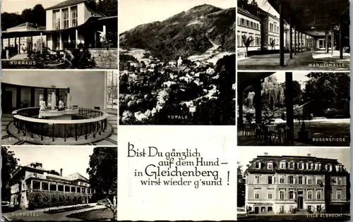 10103 - Steiermark - Gleichenberg , Bad Gleichenberg , Rosenstiege , Wandelhalle , Villa Albrecht , Brunnen , Mehrbildkarte - gelaufen 1960