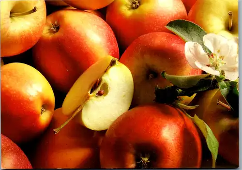 10507 - Schweiz - Apfelkuchen Rezept - nicht gelaufen