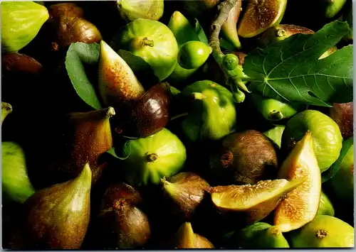 10515 - Motiv - Feigen mit Zitronencreme Rezept - nicht gelaufen