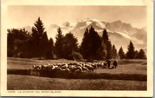 10556 - Frankreich - La Chaine de Mont Blanc , Schafhirte , Schafe - gelaufen 1946