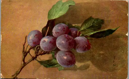 10600 - Künstlerkarte - Weintrauben , signiert - nicht gelaufen