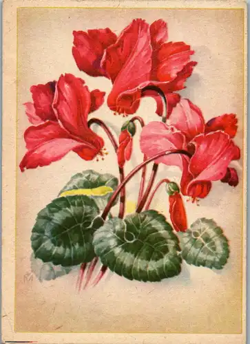 10648 - Motiv - Blumen , signiert - nicht gelaufen