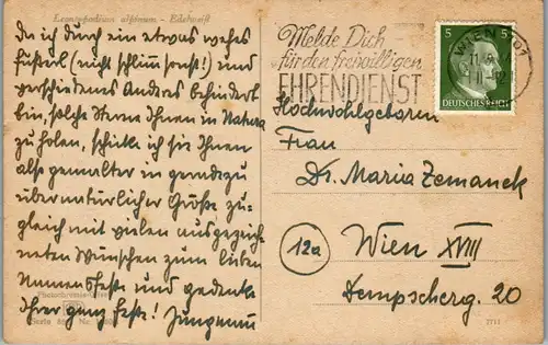 10783 -  - Motiv , Edelweiß , Leontopodium alpinum , Blumen - gelaufen 1944