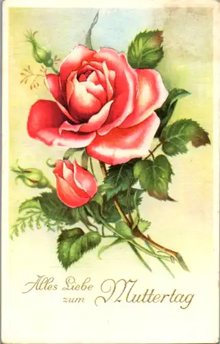 10797 -  - Alles Liebe zum Muttertag , Rosen , Blumen - gelaufen