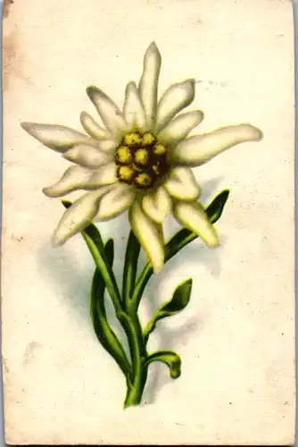 10844 - Motiv - Blumen - gelaufen 1949