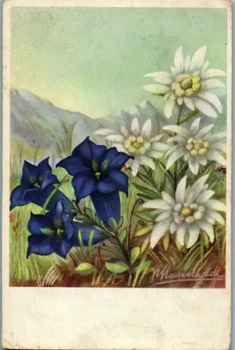 10848 - Motiv - Blumen , signiert - gelaufen 1959