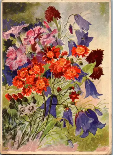 10886 - Motiv - Blumen , Schwarzes Kohlröschen , Stein Nelke , Kreuzkraut , Glockenblume - gelaufen
