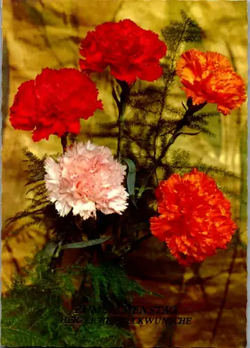 10904 -  - Zum Namenstag herzliche Glückwünsche , Blumen - nicht gelaufen