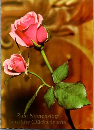 10944 -  - Zum Namenstag herzliche Glückwünsche , Blumen - nicht gelaufen