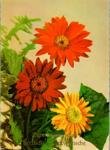 10991 -  - Zum Namenstag herzliche Glückwünsche , Blumen - nicht gelaufen