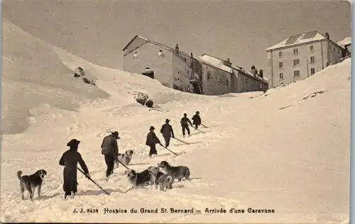 11090 - Schweiz - Hospice du Grand St. Bernard , Arrivee d' une Caravane - gelaufen 1911