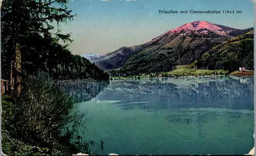 10210 - Steiermark - Erlaufsee mit Gemeindealpe , Stempel Hotel Herrenhaus - gelaufen 1917