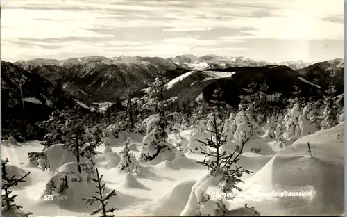 10227 - Steiermark - Mariazell , Bürgeralpe , Hochschwabaussicht , Winterlandschaft - gelaufen 1963