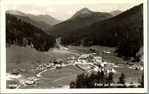 10242 - Steiermark - Frein bei Mürzsteg , Panorama - nicht gelaufen