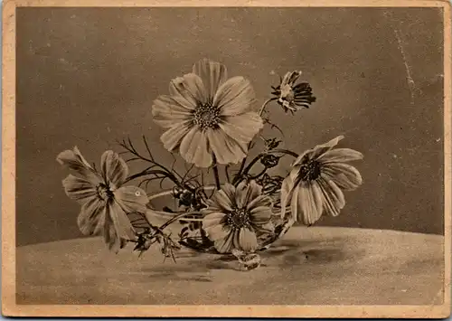 10285 -  - Motiv , Blumen - nicht gelaufen