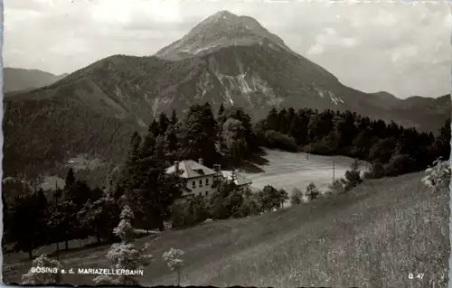 10414 - Niederösterreich  - Gösing an der Mariazellerbahn - gelaufen 1965