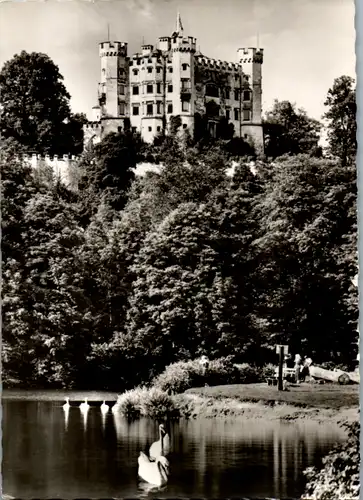 10481 - Deutschland - Schwangau , Schloss Hohenschwangau mit Alpsee , Schwäne - nicht gelaufen