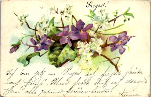11440 -  - Blumen , Lithografie - gelaufen