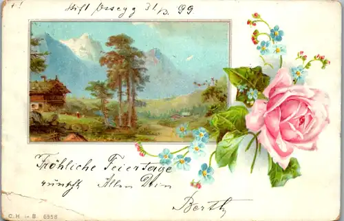 11441 -  - Blumen , Landschaft , Lithografie - gelaufen 1899