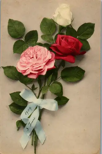 11443 -  - Blumen , Rosen - gelaufen 1909