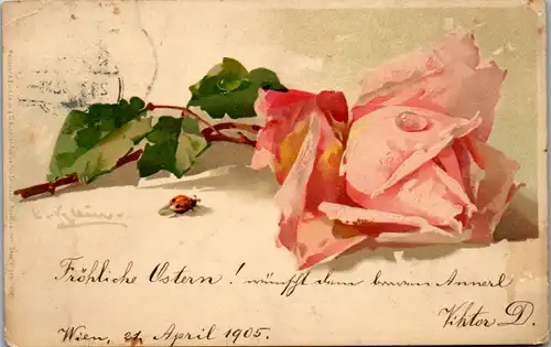 11453 -  - Blumen , Rose , Marienkäfer , signiert - gelaufen 1905