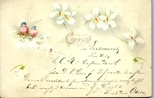 11469 -  - Blumen , Gruß , Lithografie - gelaufen 1899