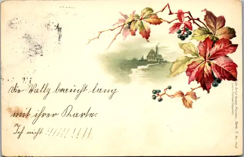 11475 -  - Landhaus , Beeren , Blätter , Lithografie - gelaufen 1898