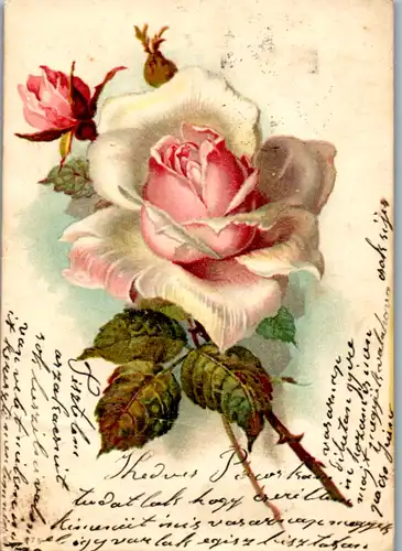 11480 -  - Blumen , Lithografie , Rose - gelaufen