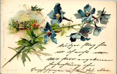 11481 -  - Blumen , Lithografie - gelaufen 1899