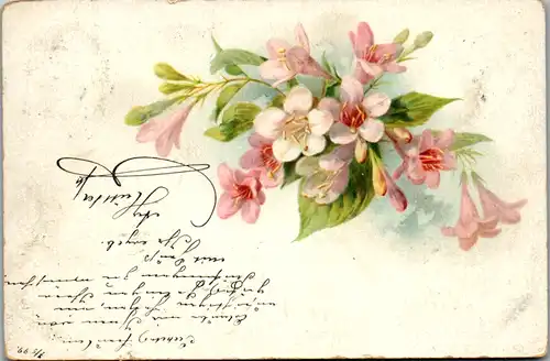 11482 -  - Blumen , Lithografie - gelaufen 1899