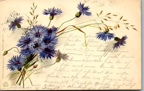 11483 -  - Blumen , Lithografie - gelaufen 1899