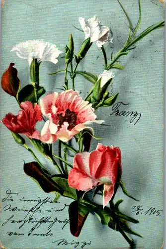 11491 -  - Blumen - gelaufen 1905