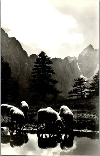 11503 - Kroatien - Sleme v Ozadju , Travnik in Jalovec - nicht gelaufen