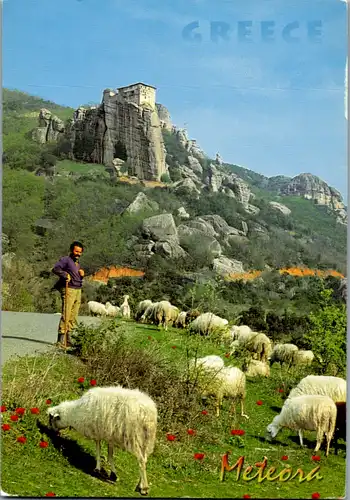 11566 - Griechenland - Meteora , Schafe , Schafhirte - gelaufen