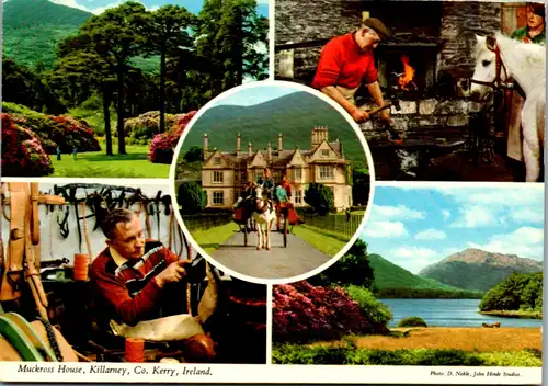 11596 - Irland - Muckross House , Killarney , Co. Kerry , Mehrbildkarte - gelaufen