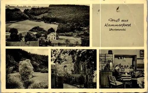 11628 - Deutschland - Kammerforst , Gasthof u. Pension zum Westerwald , Hindelang Kilb - gelaufen 1955