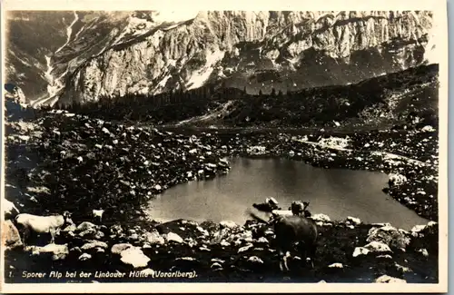 11795 - Vorarlberg - Sporer Alp bei der Lindauer Hütte - nicht gelaufen