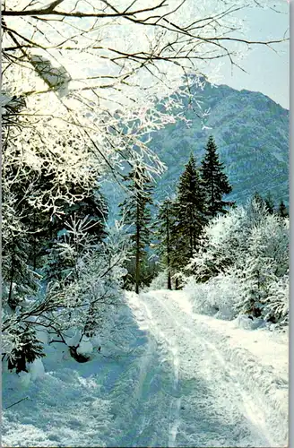 11816 -  - Weg duch eine verschneite Landschaft - nicht gelaufen