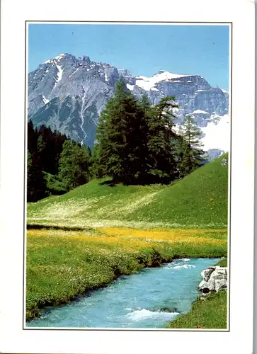 11818 -  - Berglandschaft , Bach - nicht gelaufen