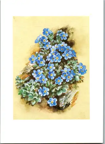 11834 - Künstlerkarte - Blumen , signiert - nicht gelaufen