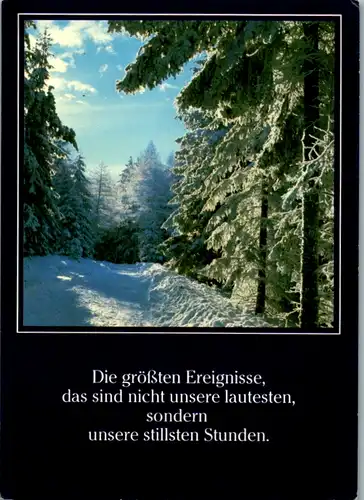 11837 -  - Winterlandschaft , Philosophischer Spruch - nicht gelaufen