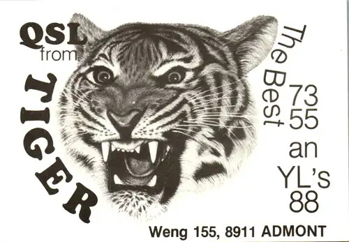 11902 - QSL - CB , Österreich , Wenig , Admont , Tiger